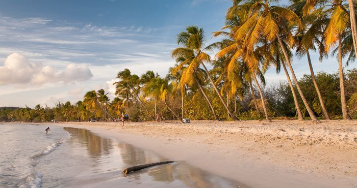 location voiture martinique pas cher 2